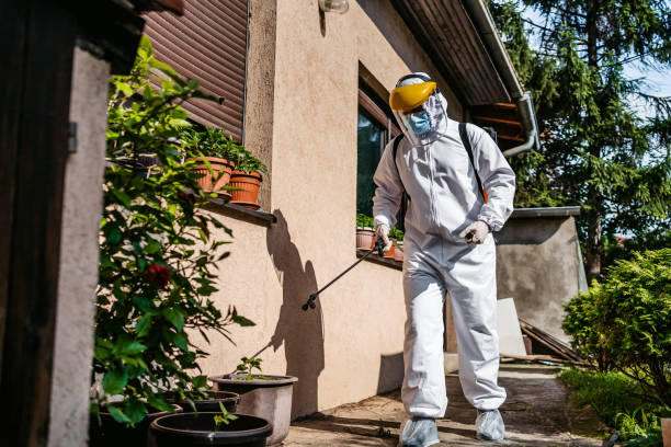 Professional Pest Control in La Mesa, CA