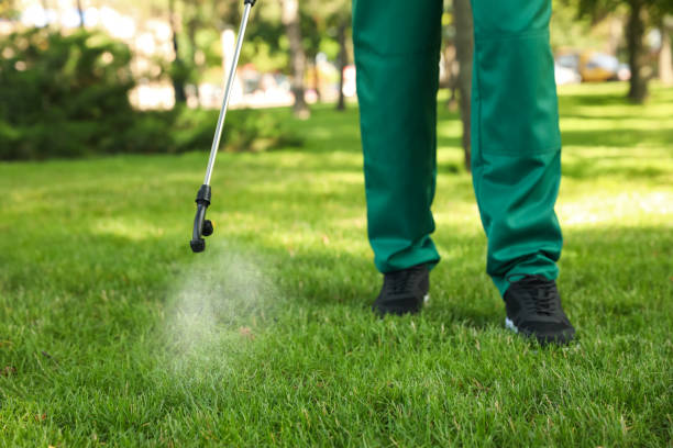 Best Cockroach Control Services  in La Mesa, CA