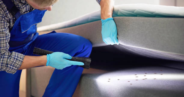 Best Wasp Removal Services  in La Mesa, CA